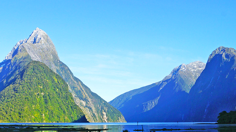 Illustration for article titled 16 Places to Visit Via Webcam That Are Prettier Than Wherever You Are